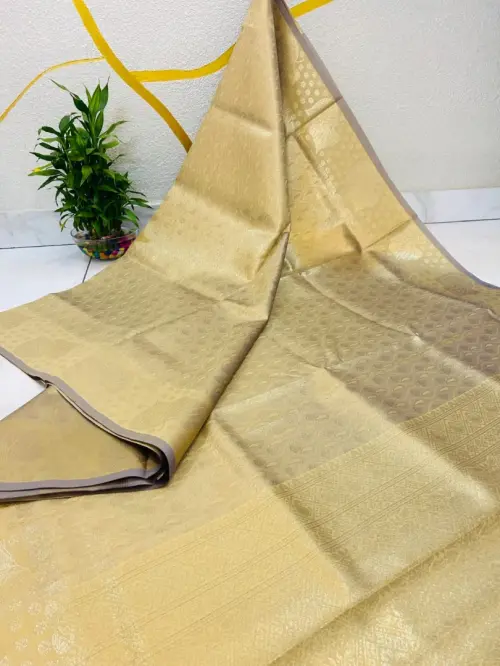 Goldn Tissue Saree